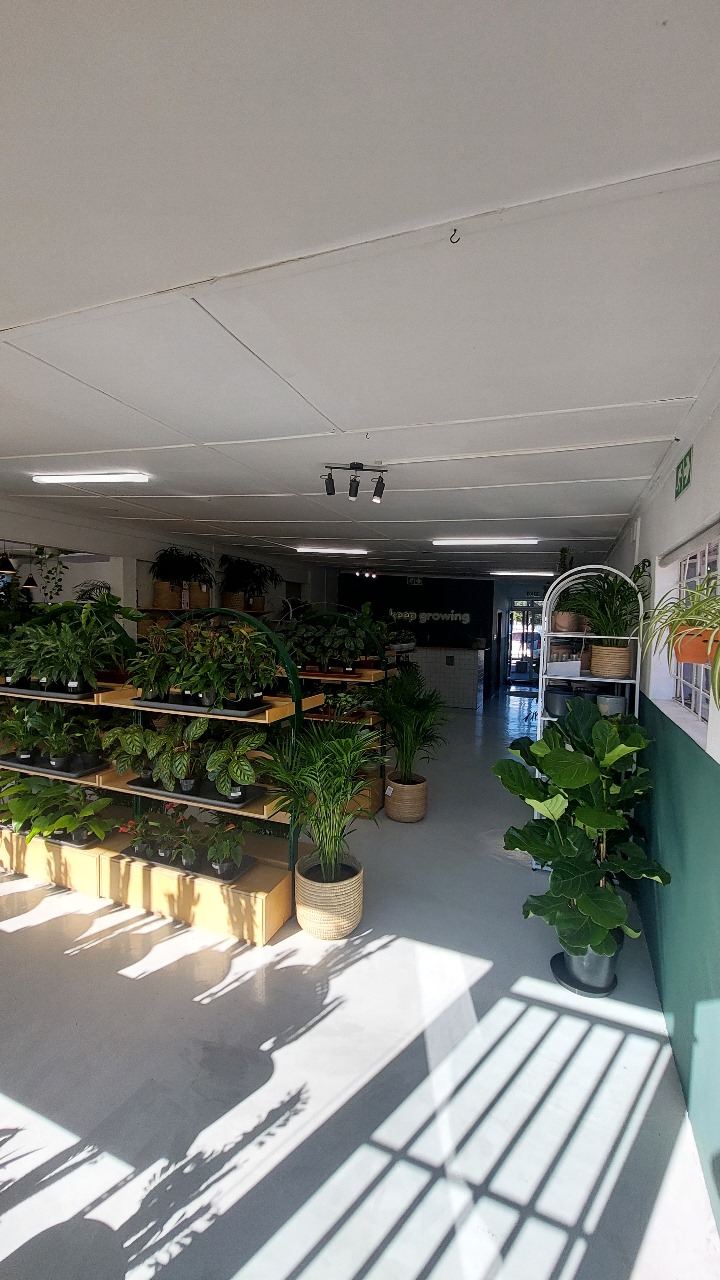 To Let commercial Property for Rent in Durbanville Western Cape